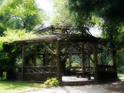Central Park Cop Cot Wedding